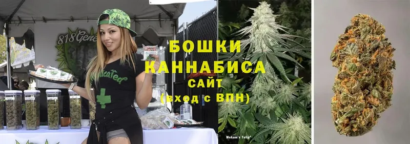 Марихуана OG Kush  Ефремов 